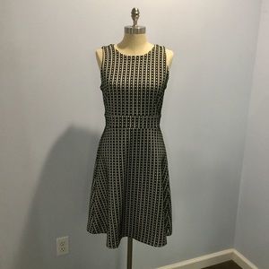 Ann Taylor Loft Size 6 Dress
